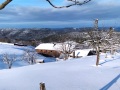 PHOTO-2026-01-31-12-53-30