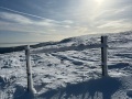 PHOTO-2026-01-31-21-20-54-1