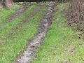IMG_0012