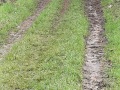IMG_0014