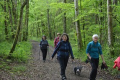 TRAIL DES DUCS 2024 - GAELLE Marche populaire