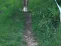 WhatsApp-Image-2025-04-27-at-16.36.56